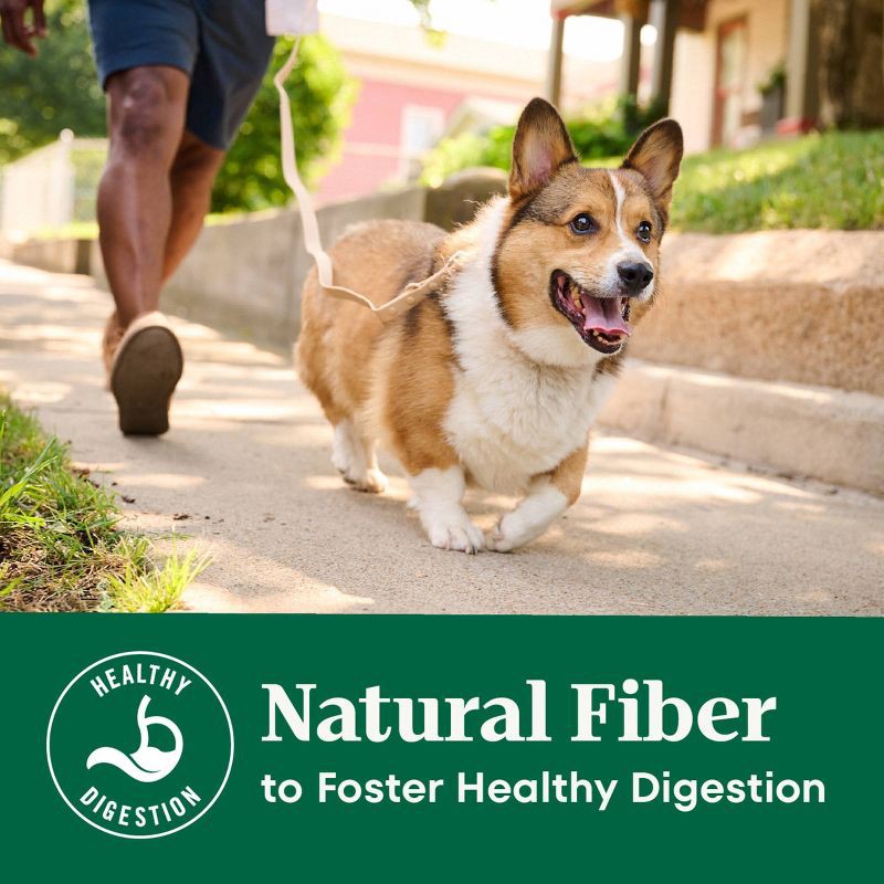 slide 7 of 18, Nutro Natural Choice Chicken and Brown Rice Flavor Adult Dry Dog Food - 5lbs, 5 lb