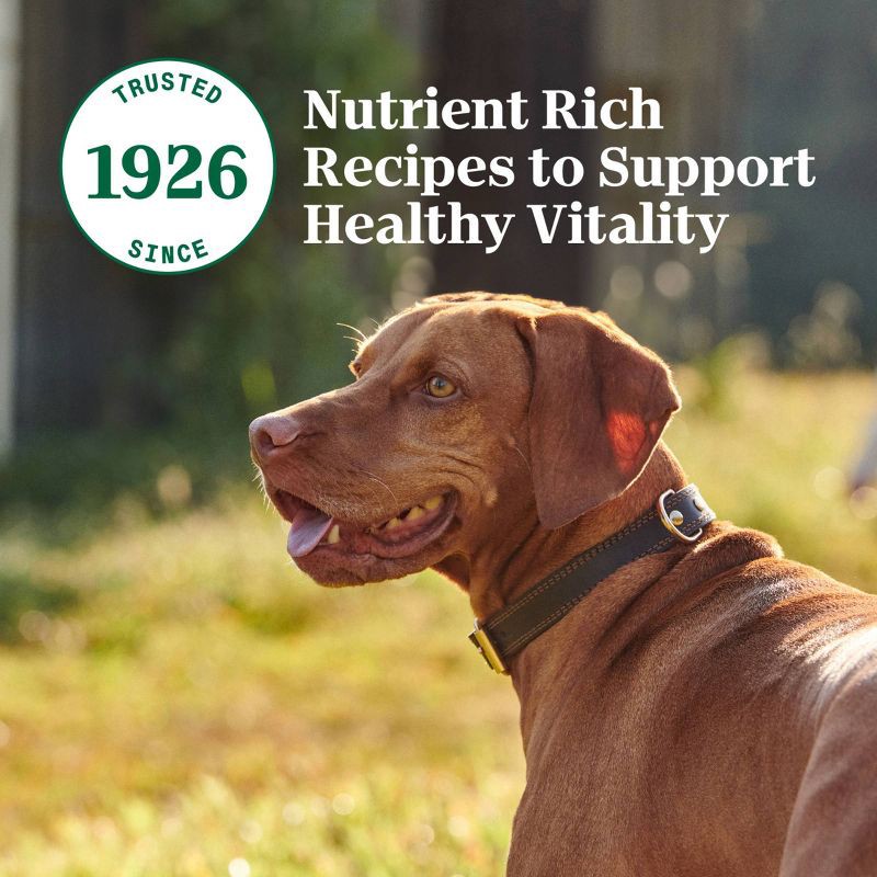 slide 4 of 15, Nutro Natural Choice Grain Free Cuts in Sweet Potato, Chicken, Potato, Turkey, Pea and Gravy Flavor Adult Wet Dog Food - 3.5oz/12ct, 12 ct; 3.5 oz