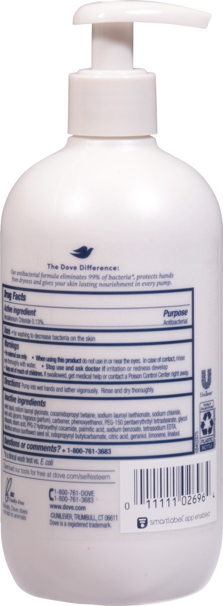 slide 4 of 9, Dove Care & Protect Hand Wash Antibacterial, 13.5oz, 13.5 fl oz