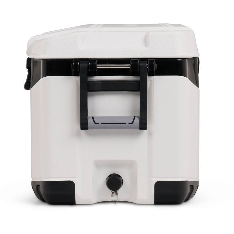 Igloo BMX 52 Quart Cooler White 52 qt Shipt