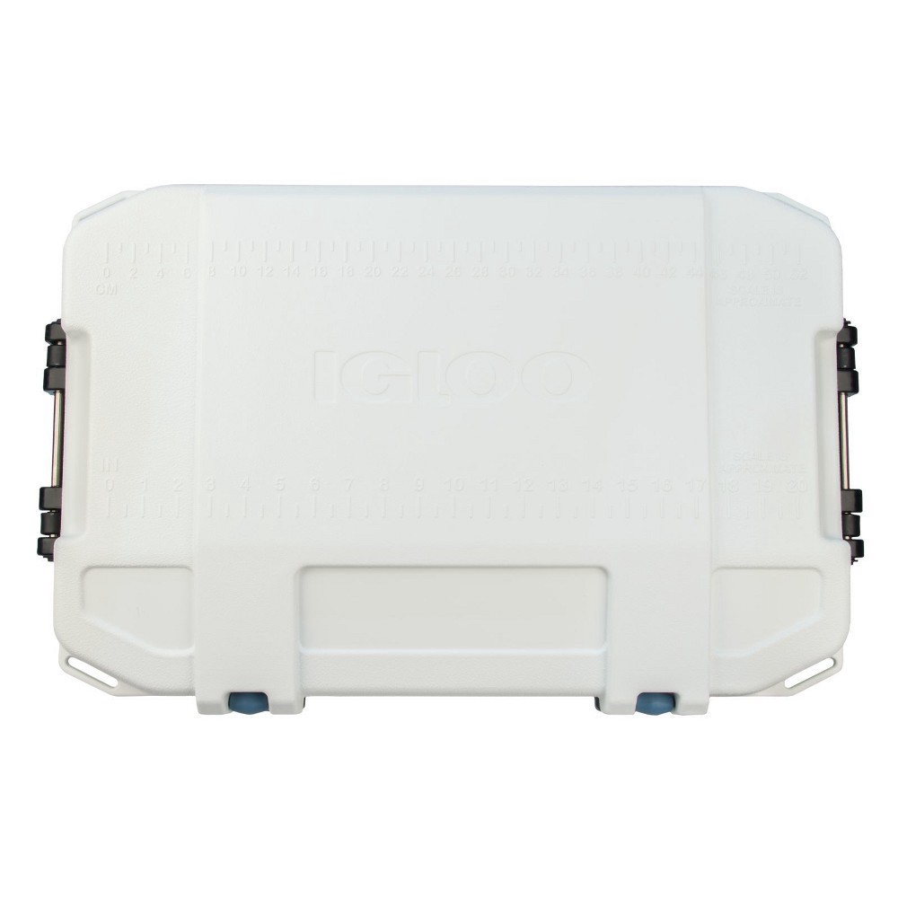 igloo 52 bmx cooler