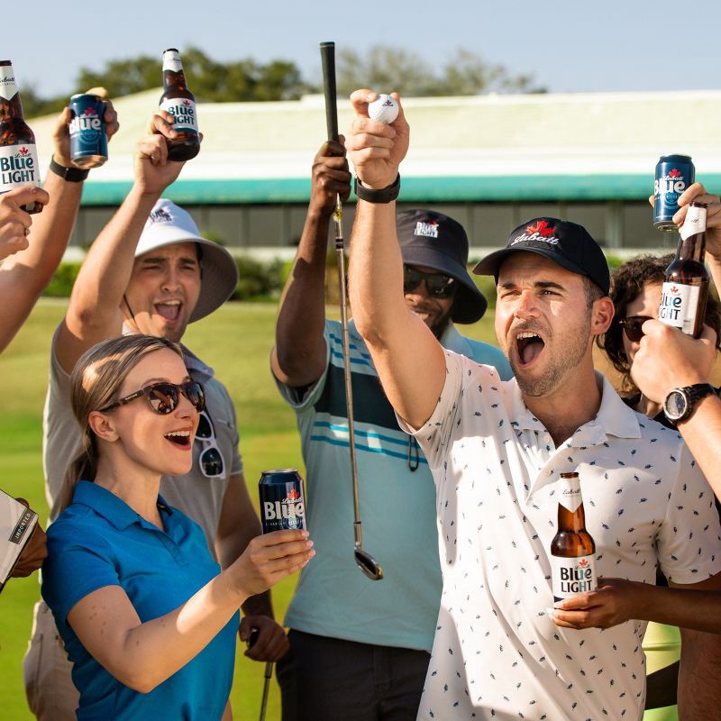 slide 10 of 11, Labatt Blue Canadian Pilsener Beer - 6pk/16 fl oz Cans, 6 ct; 16 fl oz