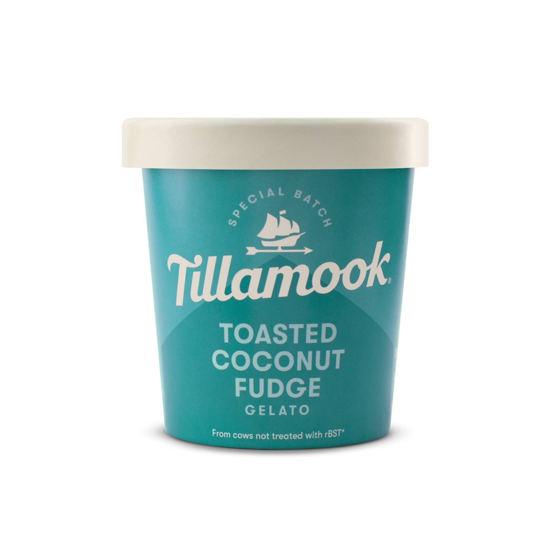 slide 1 of 5, Tillamook Toasted Coconut Fudge Gelato, 15.5 oz