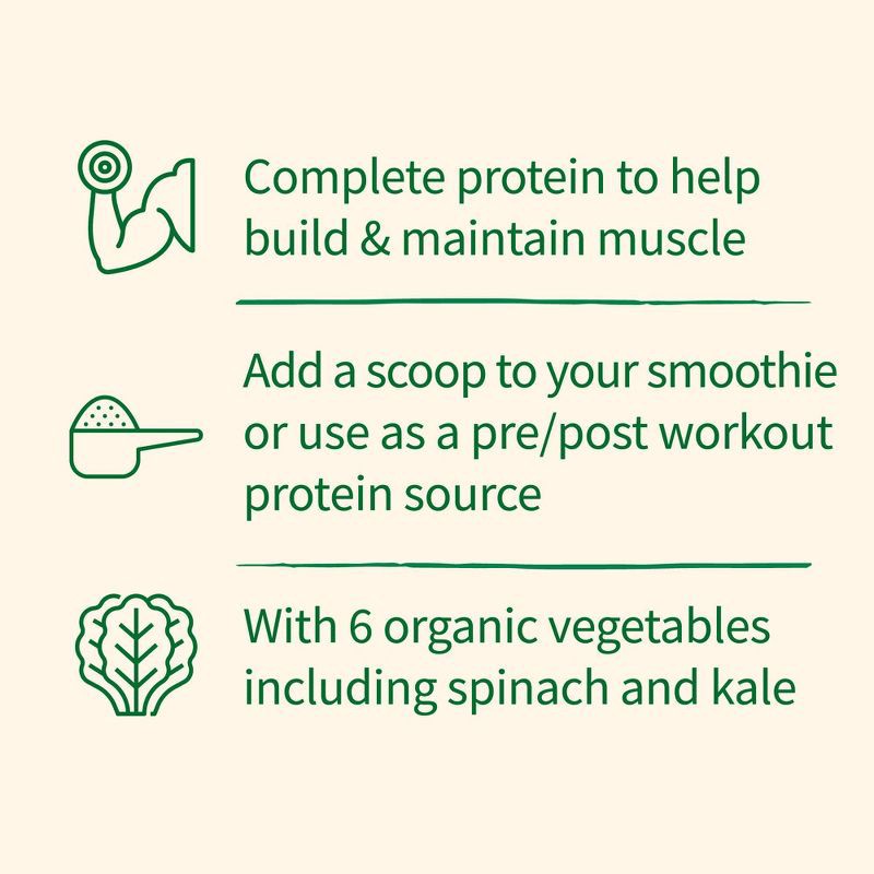 slide 4 of 8, Garden of Life Organic Vegan Protein + Greens Plant Based Shake Mix - Chocolate - 19.4oz, 19.4 oz