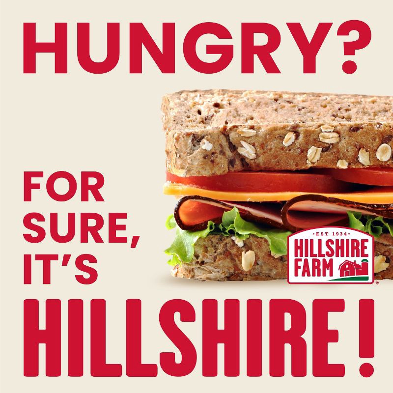 slide 9 of 10, Hillshire Farm Black Forest Ham - 9oz, 9 oz