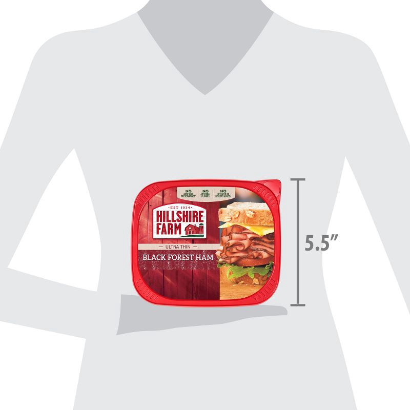 slide 10 of 10, Hillshire Farm Black Forest Ham - 9oz, 9 oz