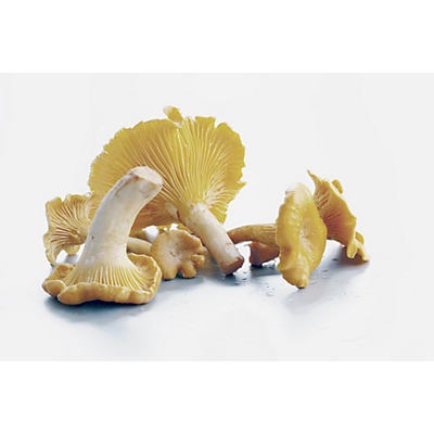 slide 1 of 1, Monterey White Chanterelle Mushrooms, per lb