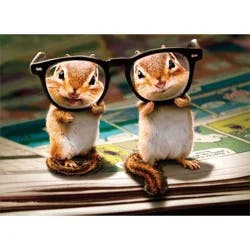 Avanti Chipmunks With Thick Glasses Birthday Card, 6 In X 4 In, 1 Ct
