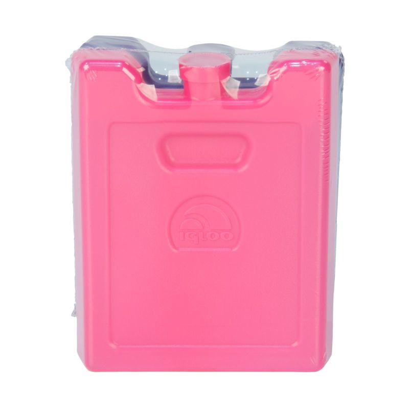 slide 2 of 4, Igloo 2pk Ice Blocks - Pink/Purple, 2 ct