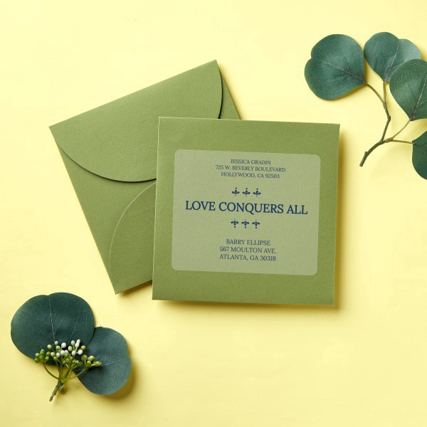 slide 8 of 8, Avery Easy Peel 15663 Permanent Laser Address Labels Clear, 100 ct; 2 in x 4 in