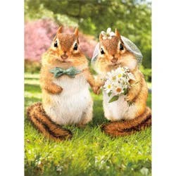 Avanti Chipmunk Bride And Groom Wedding Card, 4 In X 6 In, 1 Ct
