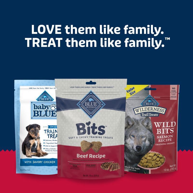 slide 9 of 10, Blue Buffalo Bits Natural Soft-Moist Training Dog Treats with Beef Recipe - 19oz, 19 oz