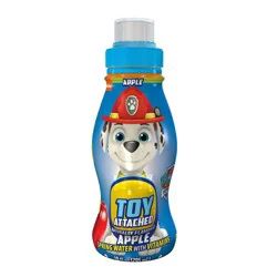 Drink&Play Drink & Play Apple Spring Water - 10 fl oz