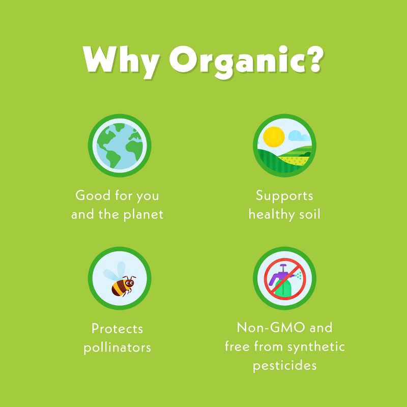 slide 7 of 11, Once Upon a Farm Wild Rumpus Avocado, Pineapple Banana Organic Kids' Snack - 3.2oz Pouch, 3.2 oz