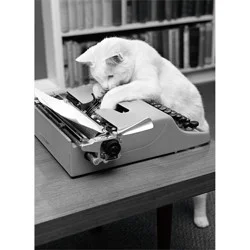 Avanti Typewriter Cat Birthday Card, 4 In X 6 In, 1 Ct