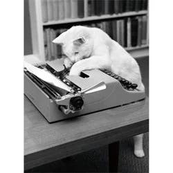 Avanti Typewriter Cat Birthday Card, 4 In X 6 In, 1 Ct