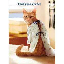 Avanti Cat Hospital Gown Get Well Card, 4 In X 6 In, 1 Ct