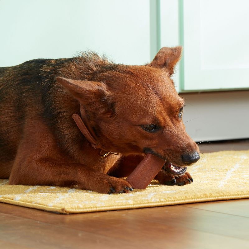 slide 2 of 8, Rachael Ray Nutrish Soup Bones Real Beef & Barley Chewy Dog Treats - 23.1oz/11ct, 23.1 oz, 11 ct