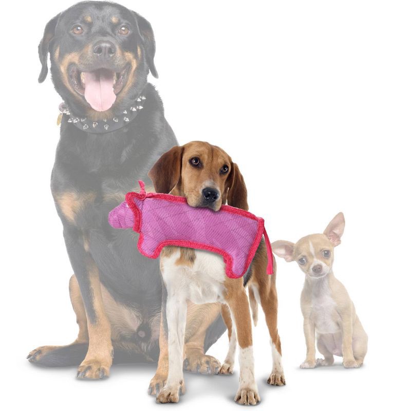 slide 2 of 5, DuraForce Pig Dog Toy - Pink - S, 1 ct