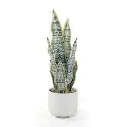 Elements 16 Inch Snake Plastic Artificial Greenery