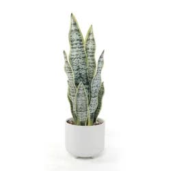 Elements 16 Inch Snake Plastic Artificial Greenery