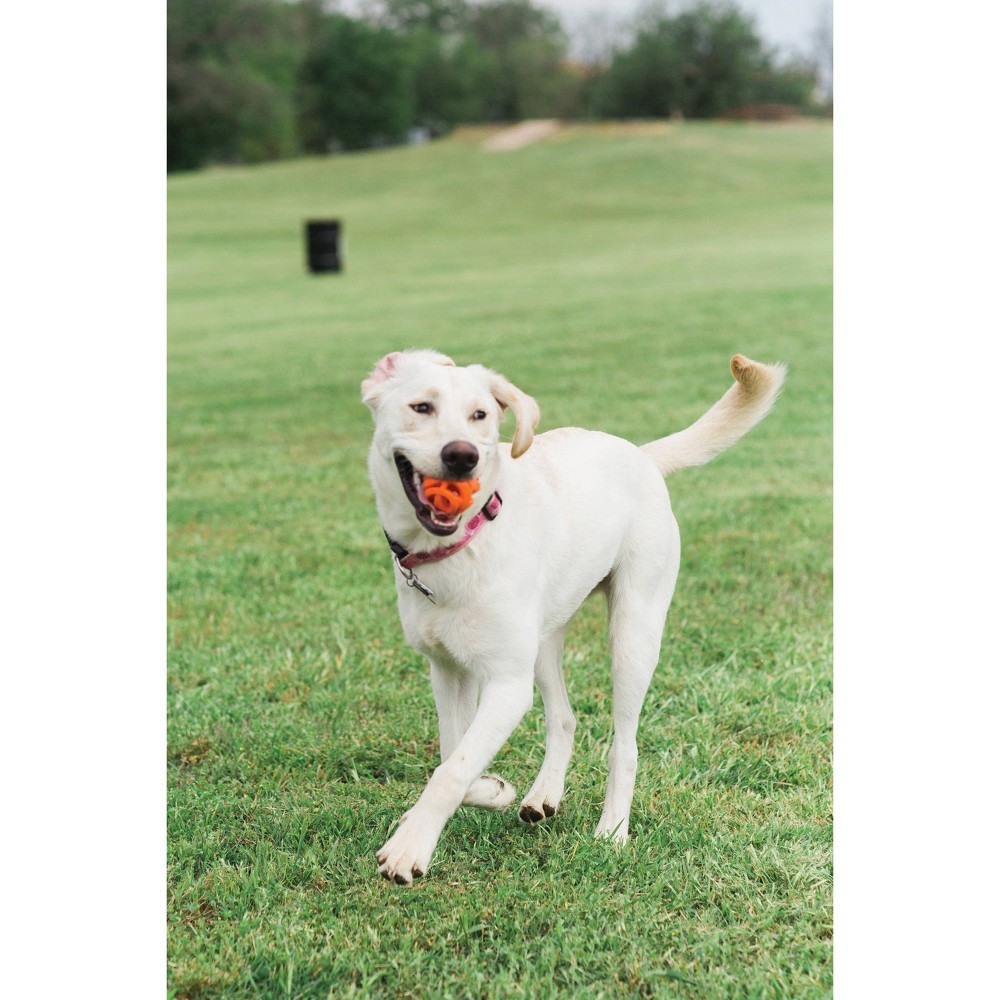 slide 3 of 4, Chuckit! Breathe Right Fetch Ball Dog Toy - Orange - M, 1 ct