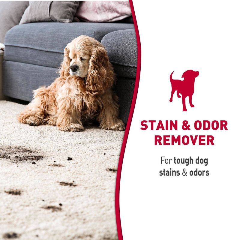 slide 3 of 9, Nature's Miracle Dog Stain and Odor Remover Foam 17.5oz, 17.5 oz