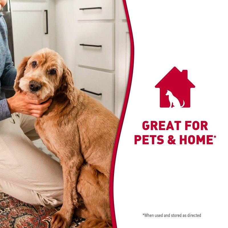 slide 8 of 9, Nature's Miracle Dog Stain and Odor Remover Foam 17.5oz, 17.5 oz