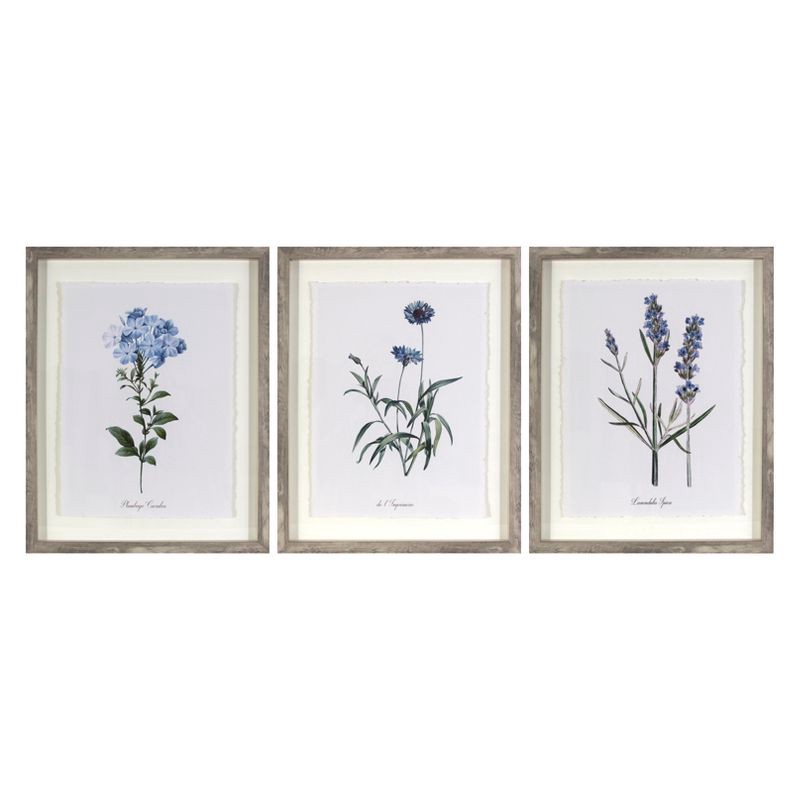 slide 1 of 3, (Set of 3) 16"x20" Framed Vintage Botanicals Decorative Wall Art Natural/Blue - Threshold™, 1 ct