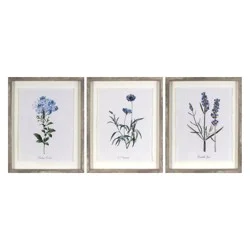 (Set of 3) 16&quot;x20&quot; Framed Vintage Botanicals Decorative Wall Art Natural/Blue - Threshold™
