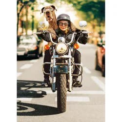 Avanti Woman and Dog Riding Motorcycle Birthday Card, 4 in x 6 in, 1 ct