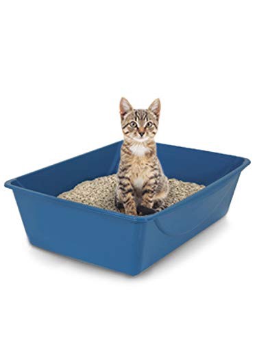 slide 6 of 10, Petmate Basic Litter Box, 1 ct