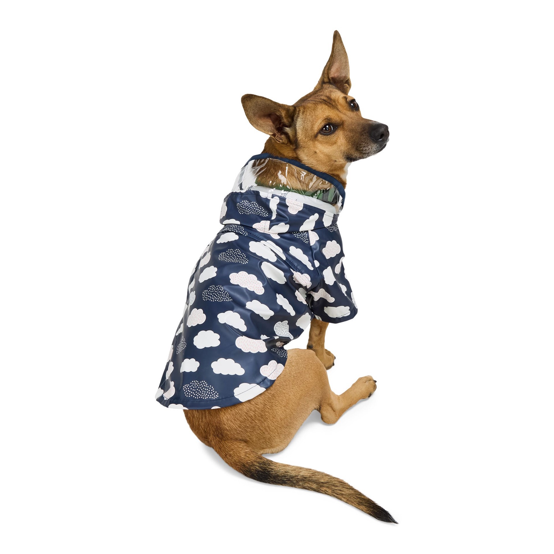 slide 1 of 1, YOULY Cloud Pet Raincoat, Medium, 1 ct