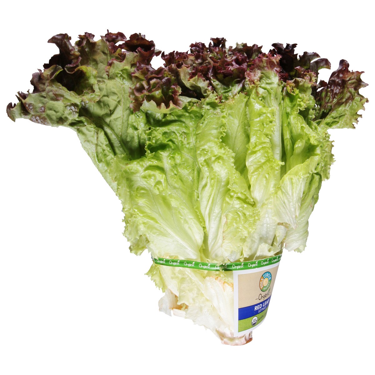 slide 2 of 9, Full Circle Market Organic Red Leaf Lettuce 1 ea, 1 ea