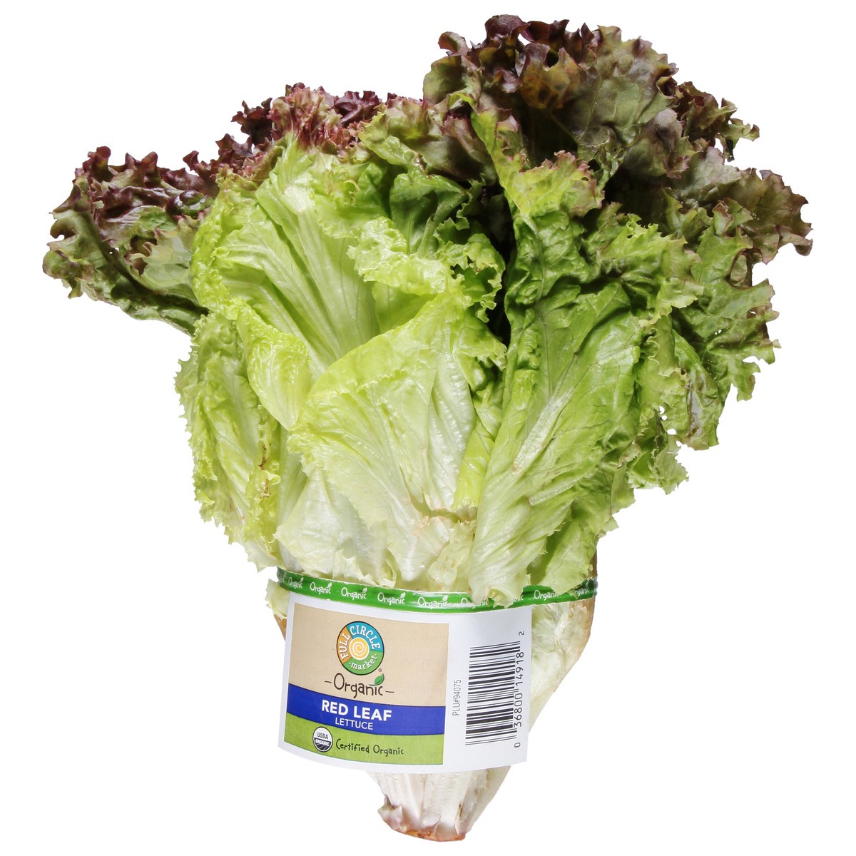 slide 3 of 9, Full Circle Market Organic Red Leaf Lettuce 1 ea, 1 ea