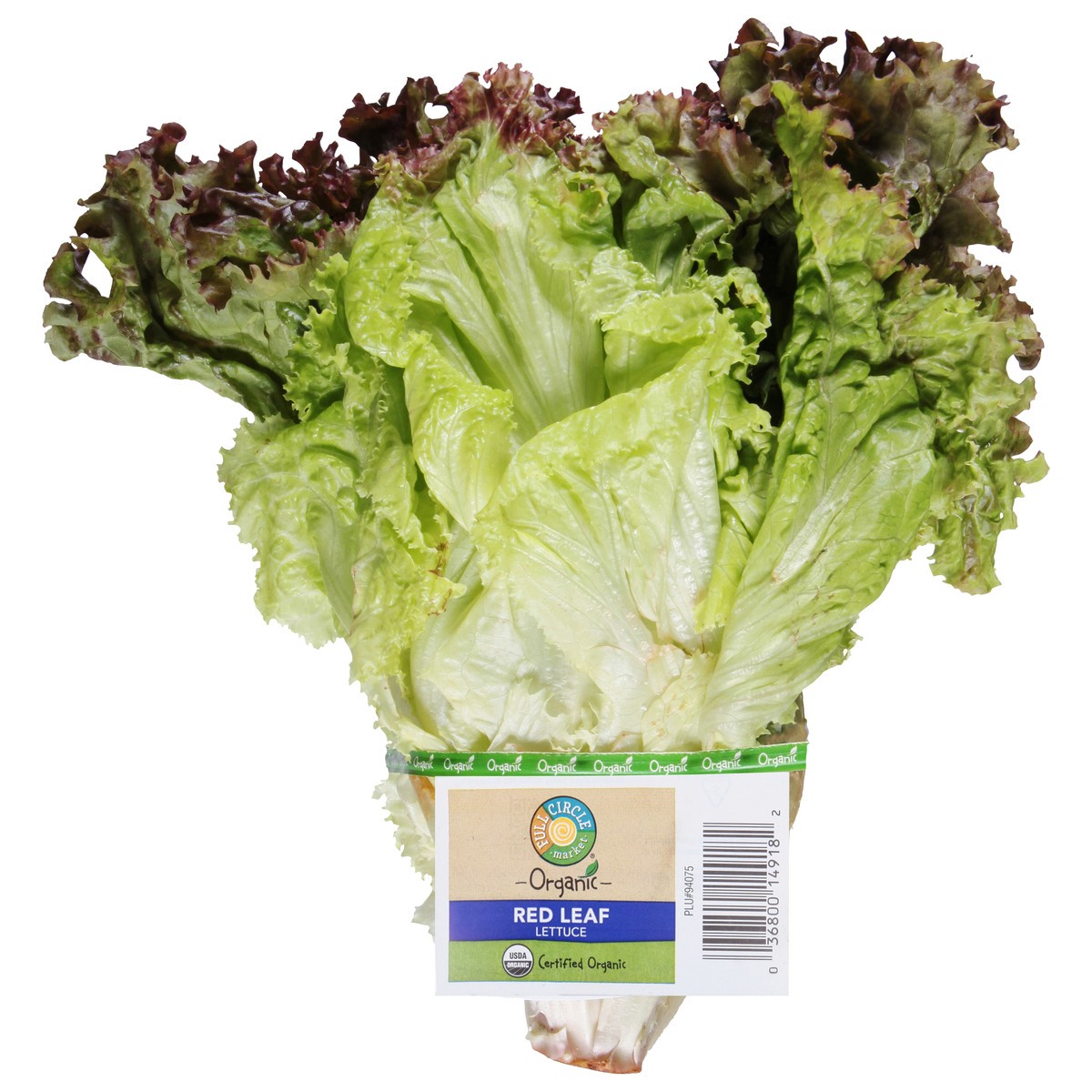 slide 1 of 9, Full Circle Market Organic Red Leaf Lettuce 1 ea, 1 ea