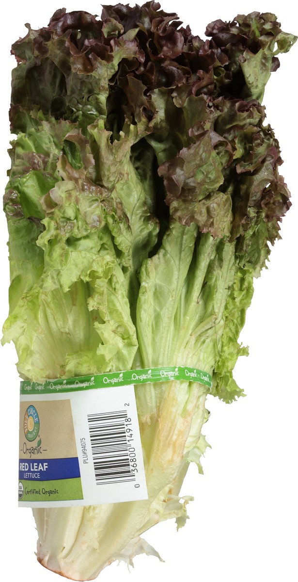 slide 8 of 9, Full Circle Market Organic Red Leaf Lettuce 1 ea, 1 ea