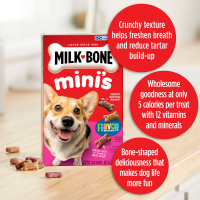 slide 2 of 19, Milk-Bone Minis Flavor Snacks Dog Treats, 15 oz