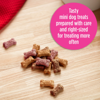 slide 12 of 19, Milk-Bone Mini's Dog Treat Biscuits with Bacon, Chicken & Beef Flavor Snacks - 15oz, 15 oz