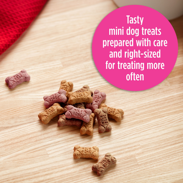 slide 11 of 19, Milk-Bone Minis Flavor Snacks Dog Treats, 15 oz