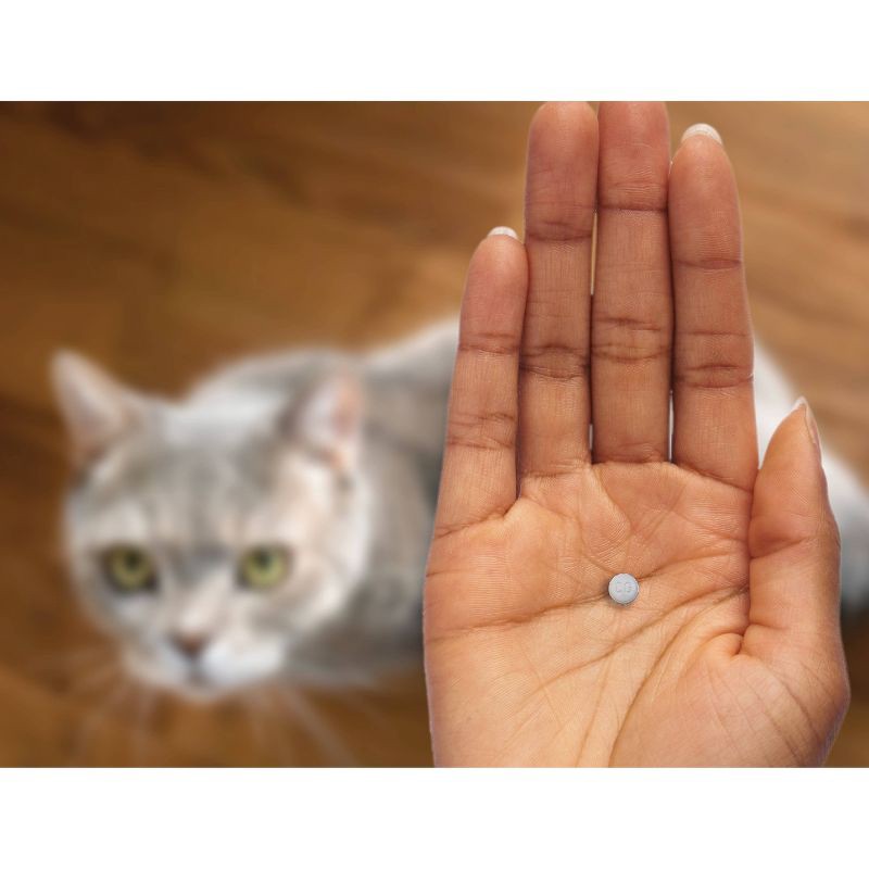 slide 4 of 10, CapAction Flea Treatment for Cats - 2-25lbs, 2 ct; 25 lb