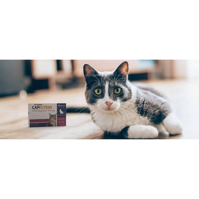 slide 5 of 10, CapAction Flea Treatment for Cats - 2-25lbs, 2 ct; 25 lb