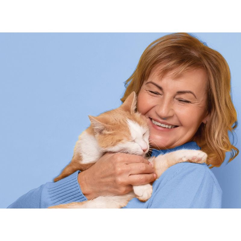 slide 7 of 10, CapAction Flea Treatment for Cats - 2-25lbs, 2 ct; 25 lb