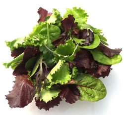 Produce - Lettuce Spring Mix