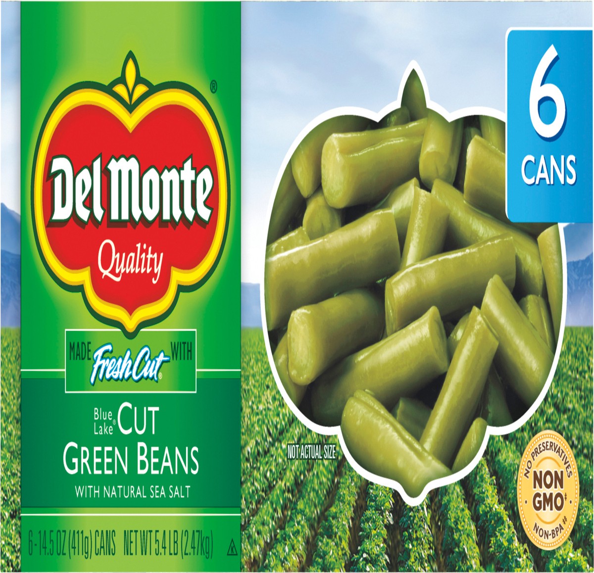 slide 2 of 8, Del Monte Fresh Cut Blue Lake Cut Green Beans 6 14.5 oz Can 6 ea Box, 6 ct