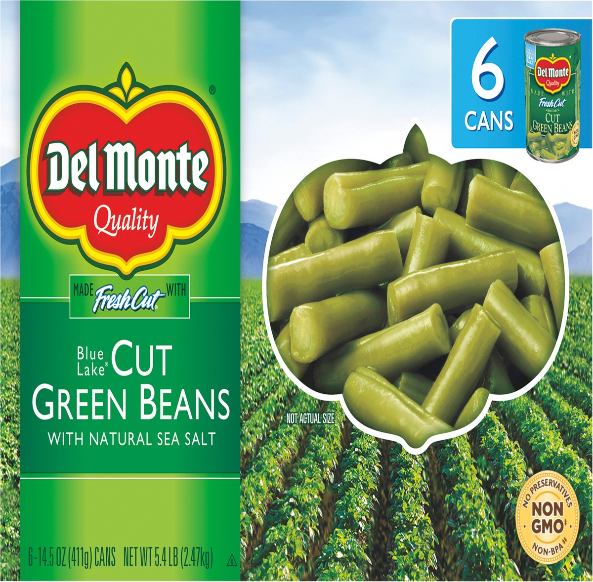 slide 4 of 8, Del Monte Fresh Cut Blue Lake Cut Green Beans 6 14.5 oz Can 6 ea Box, 6 ct