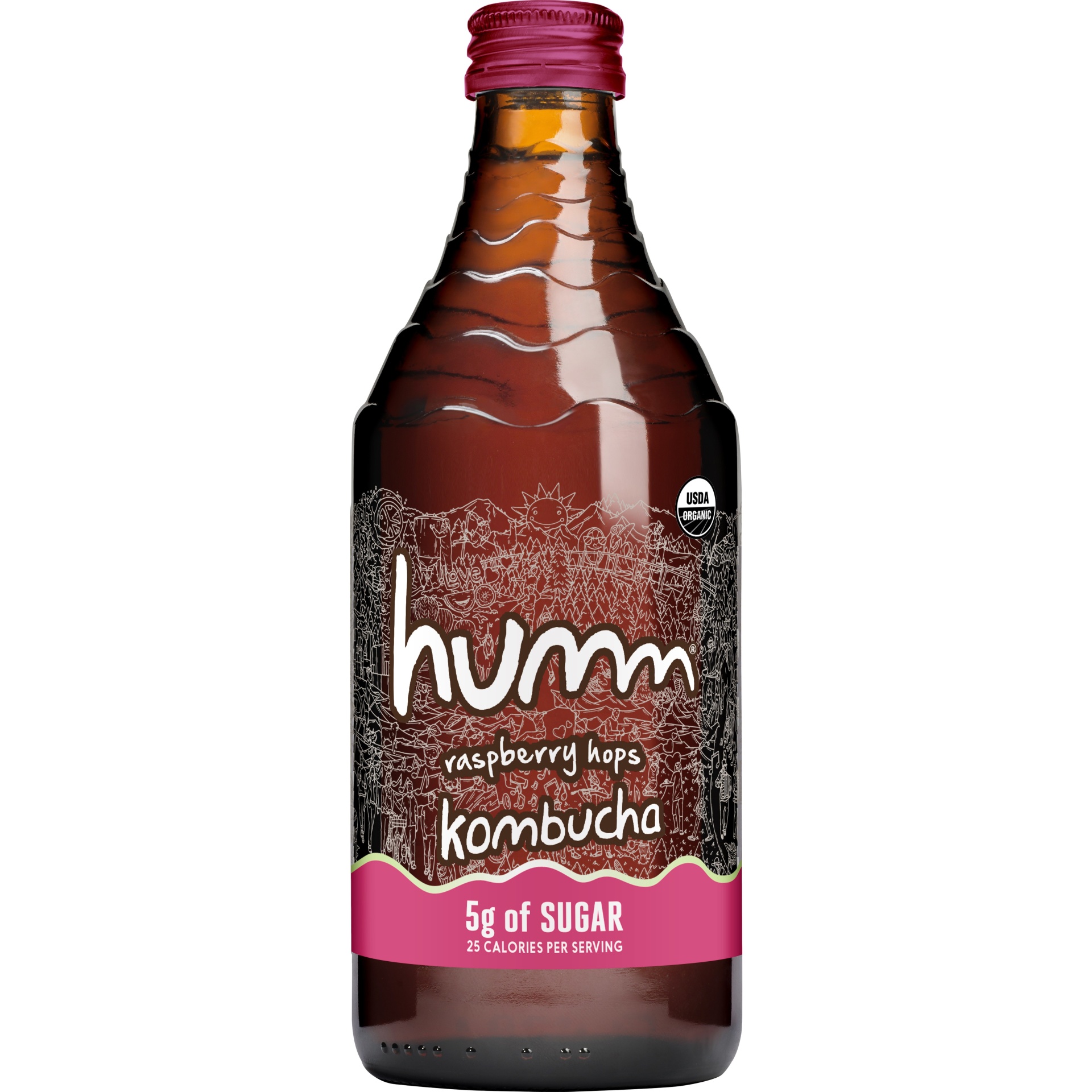 slide 1 of 1, Humm Kombucha Humm Hopped Raspberry Low Sugar Kombucha, 14 fl oz