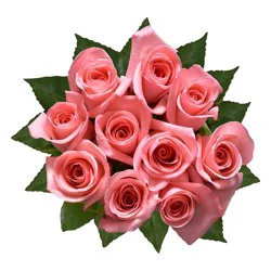 Dozen Long-Stem Roses