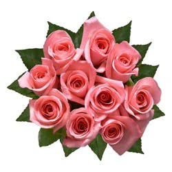 Dozen Long-Stem Roses