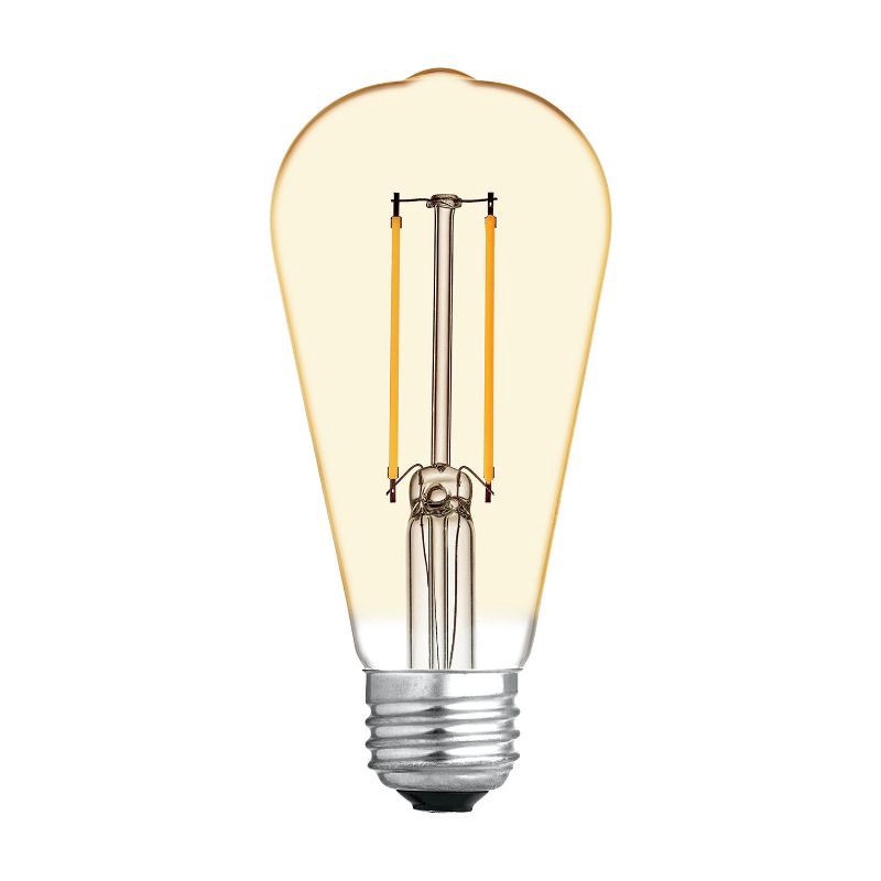 slide 2 of 4, GE Household Lighting GE 2pk 60W Vintage Style ST19 LED Edison Light Bulbs Amber Glass, 2 ct